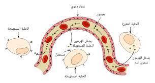 هرمون عصبي يتحكم في سخاء كبار السن