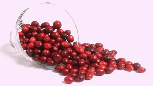 دراسة تكشف عن "فائدة صحية" للتوت البري اعتُقد أنها "أسطورة خرافية"!