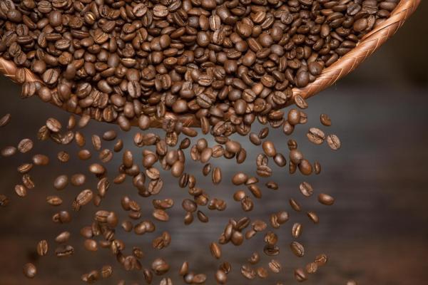 بعد تجارب 40 سنة.. نجاح زراعة البن لأول مرة في مصر