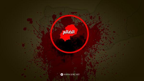 قنّاصة مليشيا الحوثي تقتل شقيقين شمالي الضالع