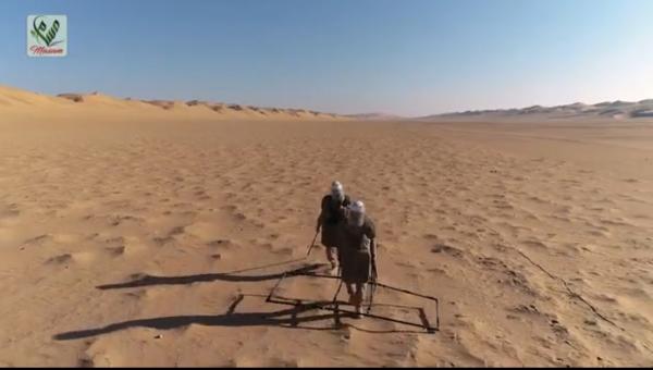 "مسام" يعلن تأمين منطقة العلقاء بصحراء عسيلان في شبوة