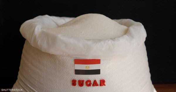 مسؤول بوزارة الزراعة: احتياطات مصر من السكر كافية حتى نهاية 2024