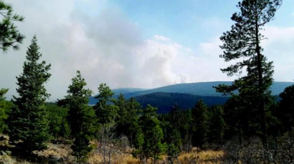 خروج أكبر حرائق غابات أميركا عن السيطرة في نيو مكسيكو