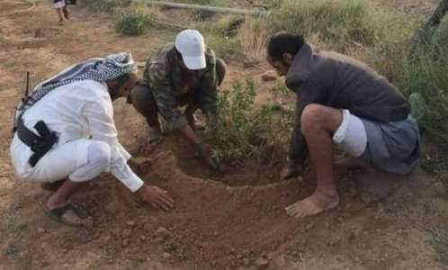 صورة.. العميد طارق صالح يغرس شجرة التفاح في المخا ويوجه رسالة للمليشيات الحوثية