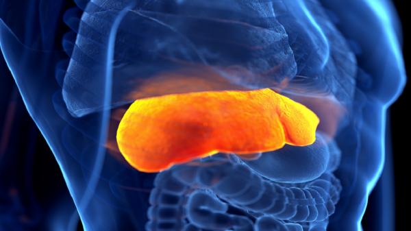 "نظام ياباني" قد يساعد في علاج مرض الكبد الدهني!.. 3 أطعمة أثبتت فعاليتها!