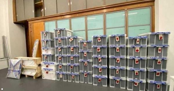 بعد قرن كامل.. العراق يستعيد 6 آلاف قطعة أثرية من بريطانيا