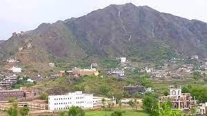 مقتل ناشط سياسي في أبين 