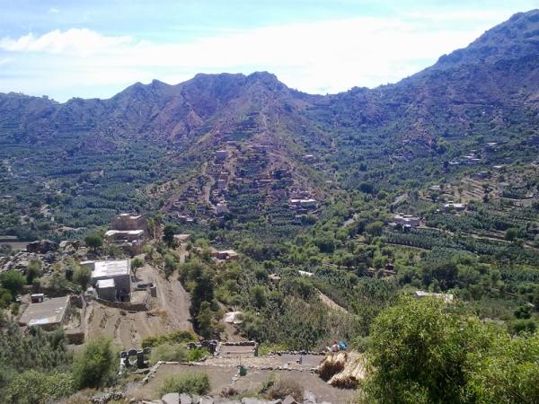 زوج يـنهي حياة زوجته في سامع بتعز ويلوذ بالفرار