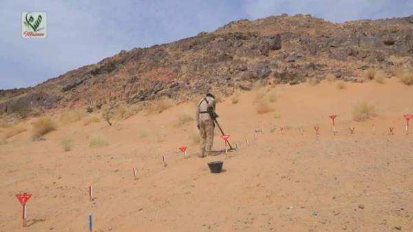 "مسام": تطهير منطقة الصفراء في شبوة من ألغام عصابة الحوثي 