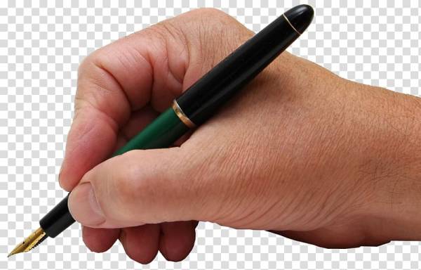 أنيس  مختار