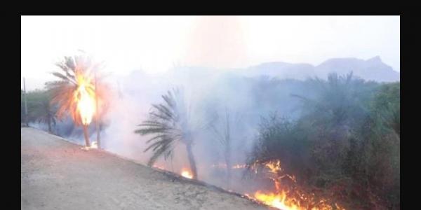 نيران تلتهم مزارع مدينة شبام التاريخية بحضرموت