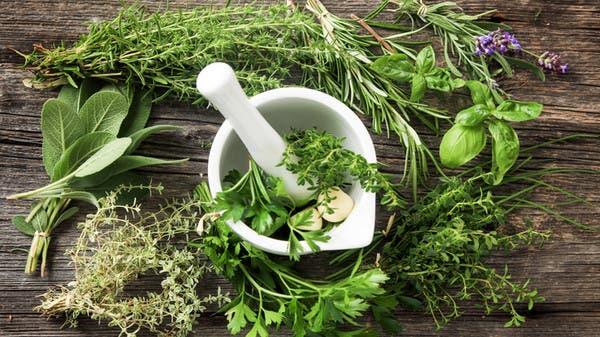 لمنع لدغات البعوض.. تناول هذه الأعشاب والتوابل!