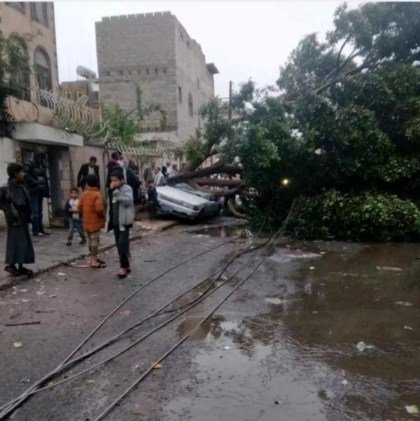 عاصفة رعدية تقتلع الأشجار وأعمدة الكهرباء في صنعاء