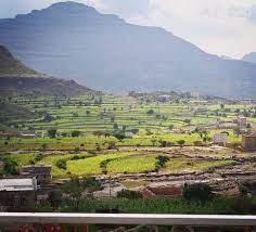 إغلاق المراكز الامتحانية في الشمايتين بعد تسرب مادة الإنجليزي من تعز 