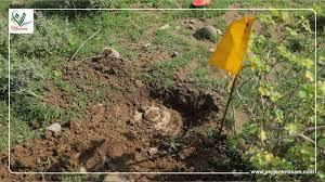 مزارع يعثر على 6 ألغام مضادة للدبابات أثناء حرث أرضه غرب تعز 