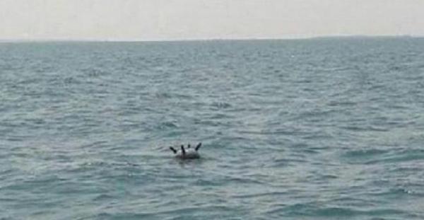 الأمواج تجرف لغما بحريا إلى شواطئ  الخوخة 