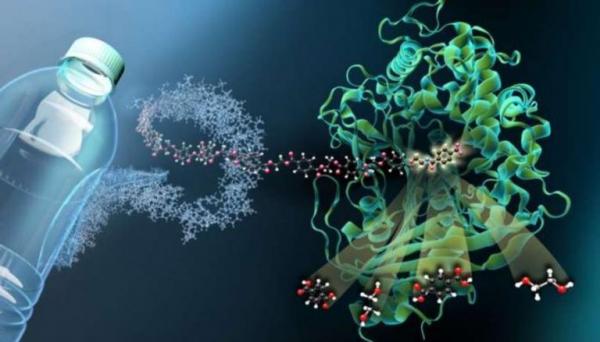 الإنزيم آكل البلاستيك.. حل سحري صديق للبيئة