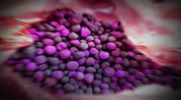 المهرة.. ضبط شحنة من برمنغنات البوتاسيوم في طريقها للحوثي