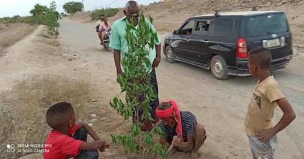  بمناسبة اليوم العالمي.. حماية البيئة لحج تنفذ حملة تشجير 
