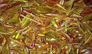 إسبانيا: ضبط أكثر من ٣ أطنان من مخدر القات