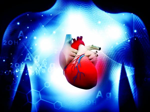 طباعة ثلاثية الأبعاد لجزء من القلب
