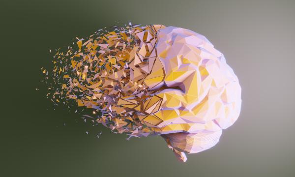 باحثون يكشفون عن لص معرفي في أدمغتنا