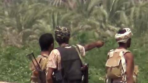 مصرع وجرح عشرات الحوثيين بالتحيتا جنوب الحديدة 