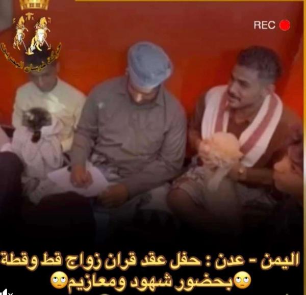 قوة أمنية توقف حفل زفاف قطط المعلا