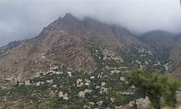  قناص حوثي يستهدف امرأة في القبيطة