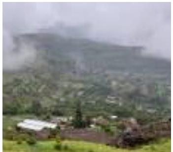 14 قتيلا وجريحا بانفجار قنبلة في مجلس مقيل بإب