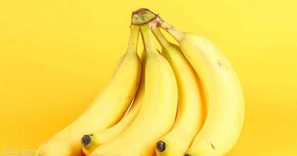"سوبر بانانا".. موز معدل وراثيا قد ينقذ ملايين الأرواح