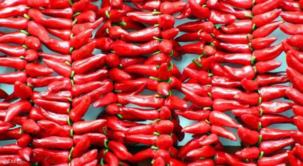 حارق ومؤلم.. تعرف على فوائد الفلفل الحار