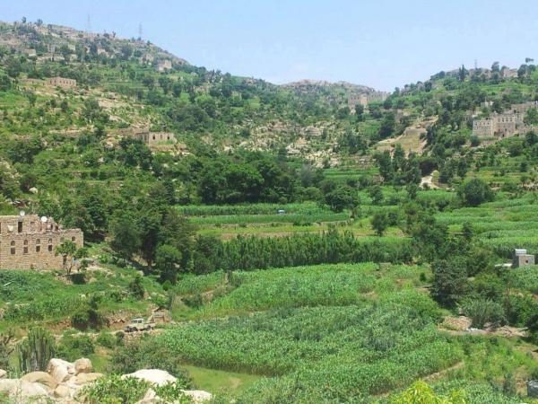 "شابان يعتديان بالضرب المبرح على والدهم في المواسط  بتعز