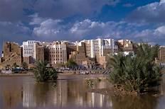 ارتفاع عدد قتلى  الهجوم المسلح في تريم