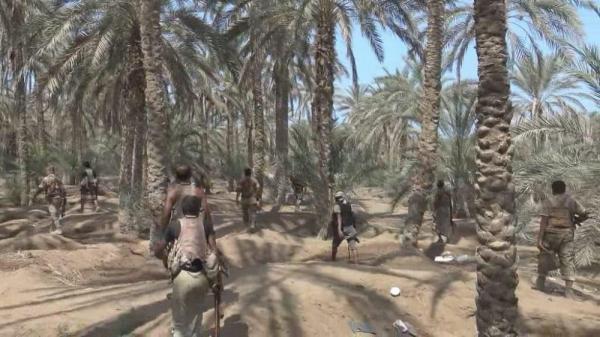 "المشتركة" تلقن مليشيا الحوثي درساً جديداً شرق الجاح بالحديدة