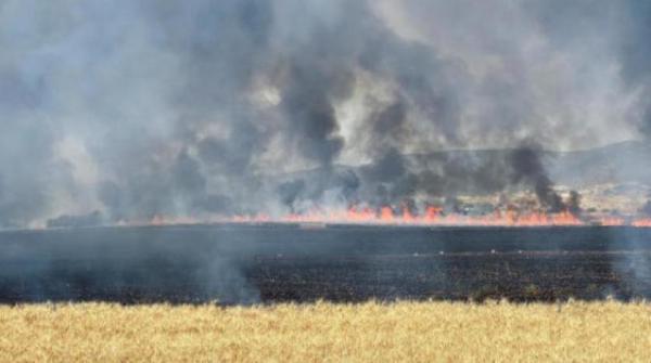 تونس تعلن السيطرة على حريق جبل برج السدرية قرب العاصمة