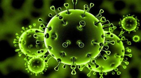 طعام متاح للجميع يحمي من الإصابة بفيروس كورونا - تعرف عليه