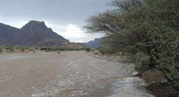منظمة حقوقية تحذر من جرف سيول الأمطار للألغام الحوثية
