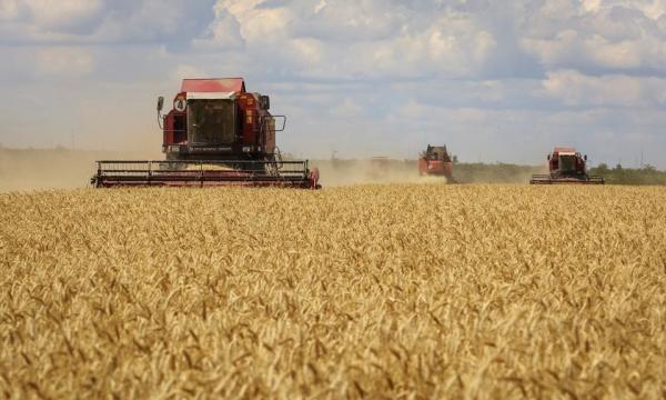 روسيا: اتفاق الحبوب قد ينهار ما لم تُرفع العقبات أمام صادراتنا