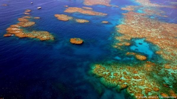 20 يوما من اختفاء بحارة كانوا في طريقهم إلى سقطرى ومازال الغموض سيد الموقف