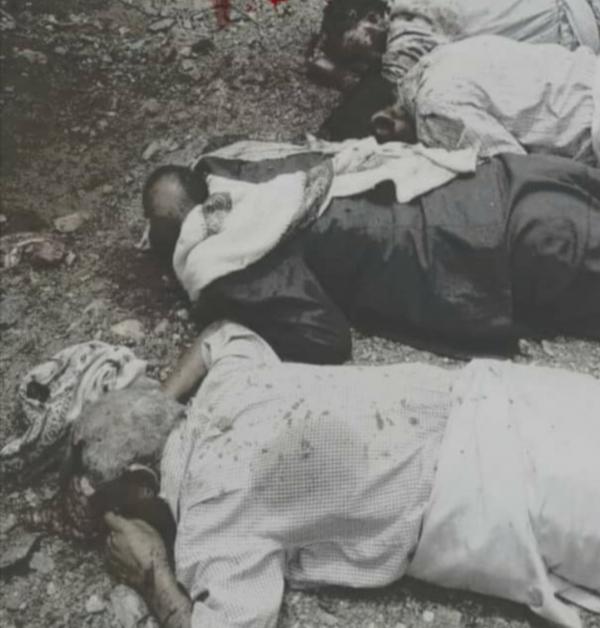  حملة إلكترونية للتذكير بجريمة غدر مليشيا الحوثي بمشائخ البيضاء وقتلهم 