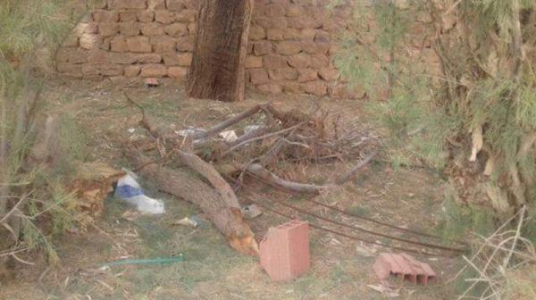 رياح شديدة تقتلع الاشجار وأعمدة الكهرباء في الحديدة 