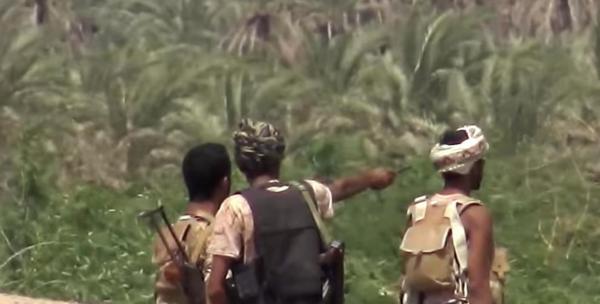 فشل ذريع لمليشيا الحوثي في إنقاذ  عناصرها المحاصرين بالدريهمي جنوب الحديدة