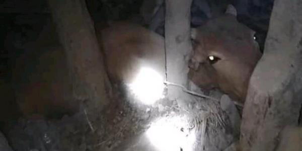 ريمة..انهيار منزل على رؤوس ساكنيه بسبب الأمطار