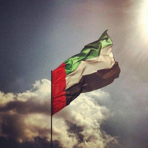  دولة الإمارات تدين الاعتداء الإرهابي الحوثي على حقل نفطي سعودي