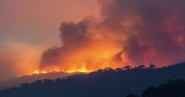 اندلاع حرائق غابات في الجزائر.. ووفاة 26 شخصا وإصابة 45 آخرين