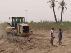 كلية الزراعة لحج تزيل أشجار السيسبان من مزرعتها الخاصة حفاظاً على معالمها  