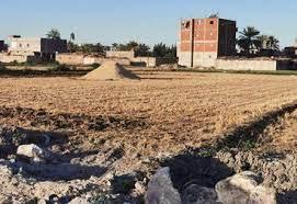 مافيا حوثية تنهب أراضي الحسينية في الحديدة بقوة السلاح