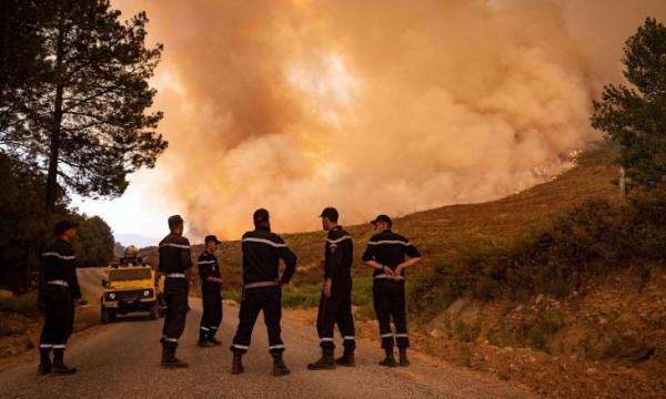 الجزائر: اعتقال 13 مشتبهاً في تورطه بحرائق الغابات