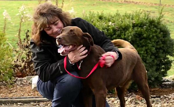 الكلاب أيضاً تذرف الدموع.. لكن لماذا؟